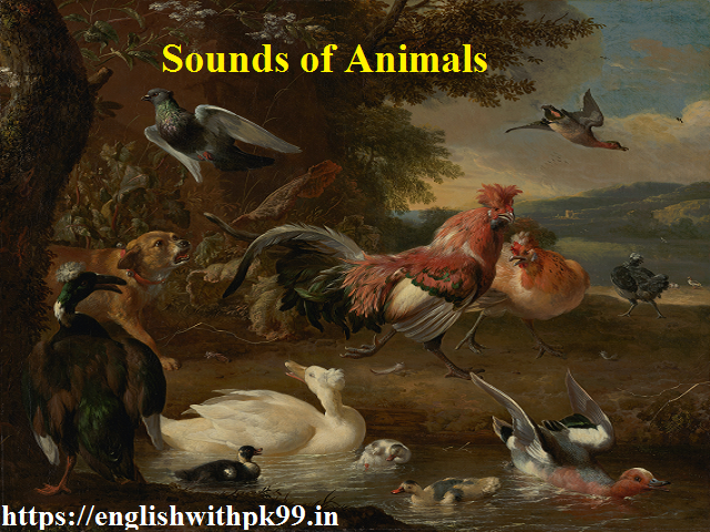 sounds of animals in marathi Archives - English With PK99 %