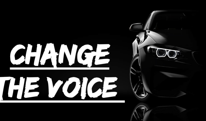 change the voice , examples and rules