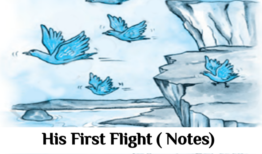 Two Stories about Flying Summary Class 10 English | First Flight