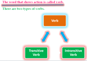 Transitive and Intransitive Verb