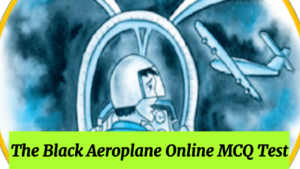 The black aeroplane google online test