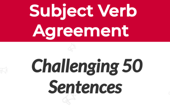 subject verb agreement examples