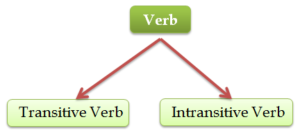 Types of verbs