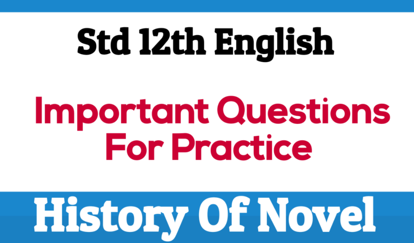 History of novel questions practice sheets